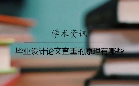 畢業(yè)設(shè)計論文查重的原理有哪些