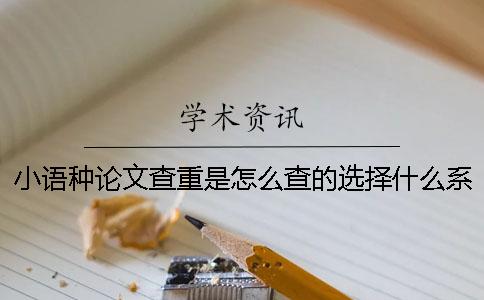 小语种论文查重是怎么查的？选择什么系统查？