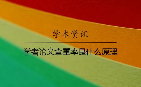 學(xué)者論文查重率是什么原理